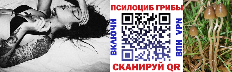 даркнет сайт  Домодедово  Галлюциногенные грибы GOLDEN TEACHER 