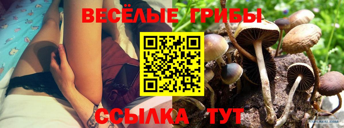 Галлюциногенные грибы Magic Shrooms Домодедово