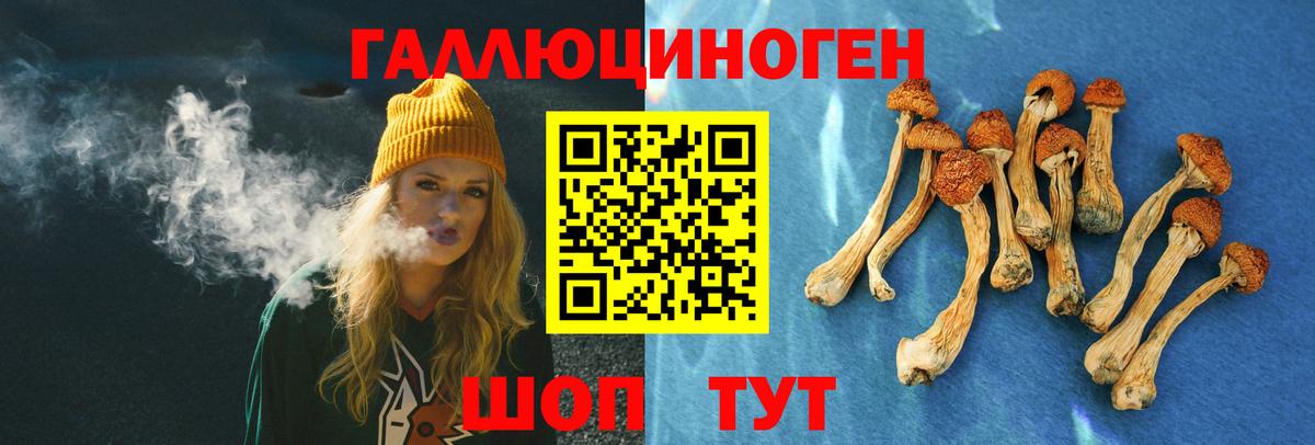 Домодедово  Галлюциногенные грибы ЛСД  Вход с VPN  Галлюциногенные грибы ЛСД 