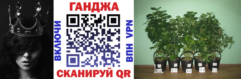 цены   Домодедово  Шишки марихуана Bruce Banner 